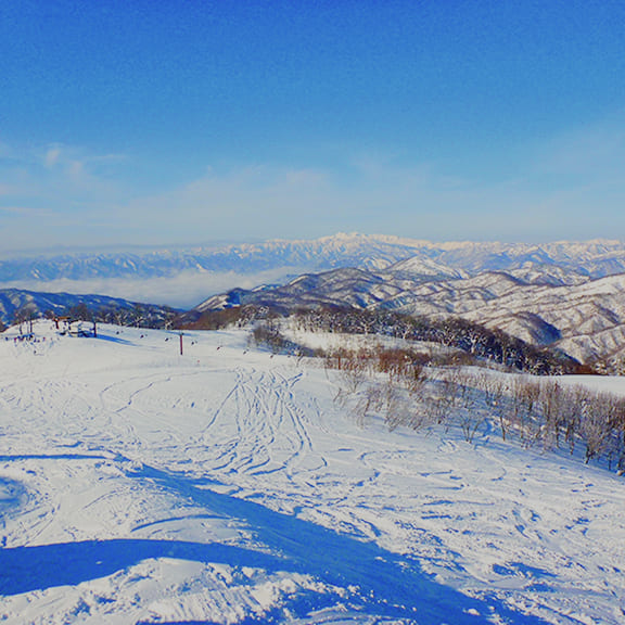 雪との暮らし